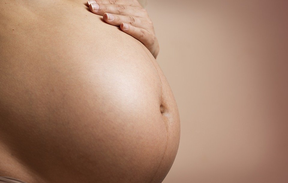 Mujer en período de gestación. │Foto: Pixabay Mujer en período de gestación. │Foto: Pixabay