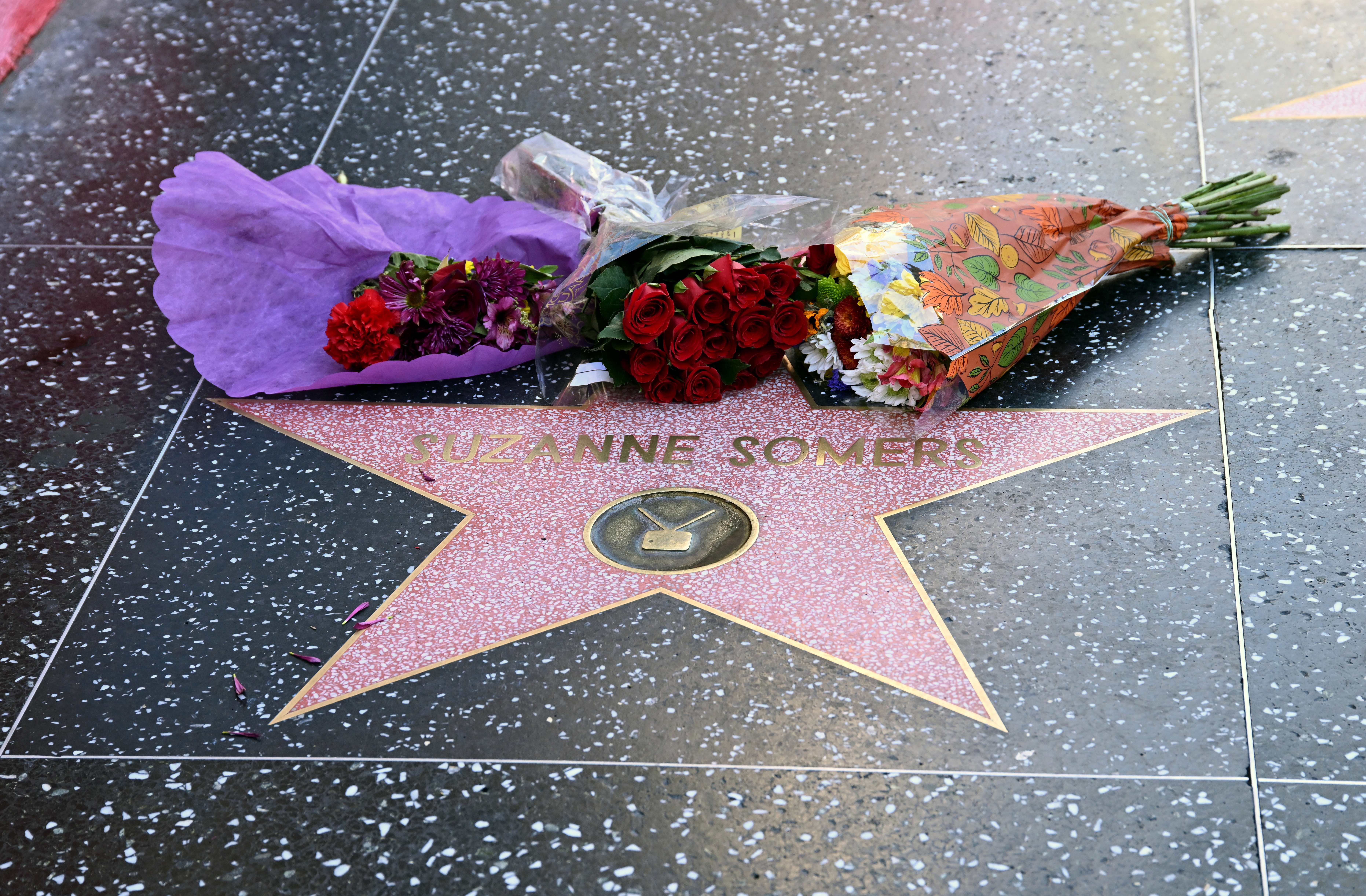 Flowers placed at the Hollywood Walk of Fame star for the late actress Suzanne Somers on October 16, 2023 in Hollywood, California. | Source: Getty Images