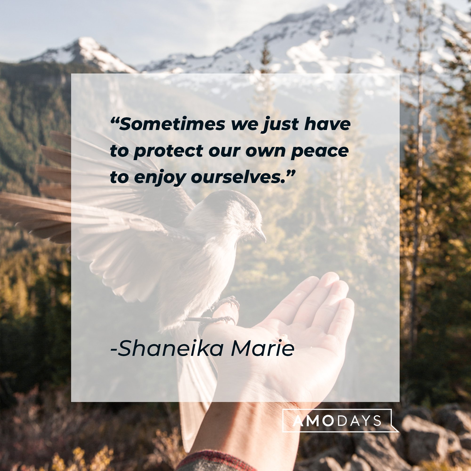 Shaneika Marie’s quote: "Sometimes we just have to protect our own peace to enjoy ourselves"  | Image: AmoDays