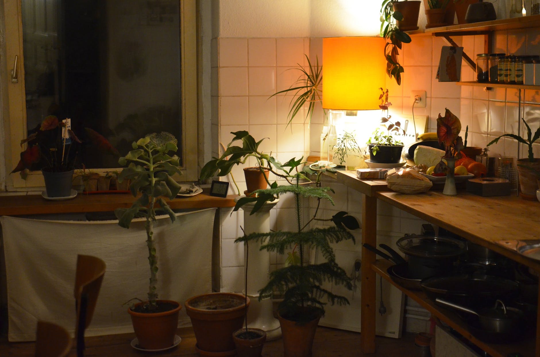 Bob broke the kitchen window and helped Mindy and Scooter exit through there. | Source: Pexels