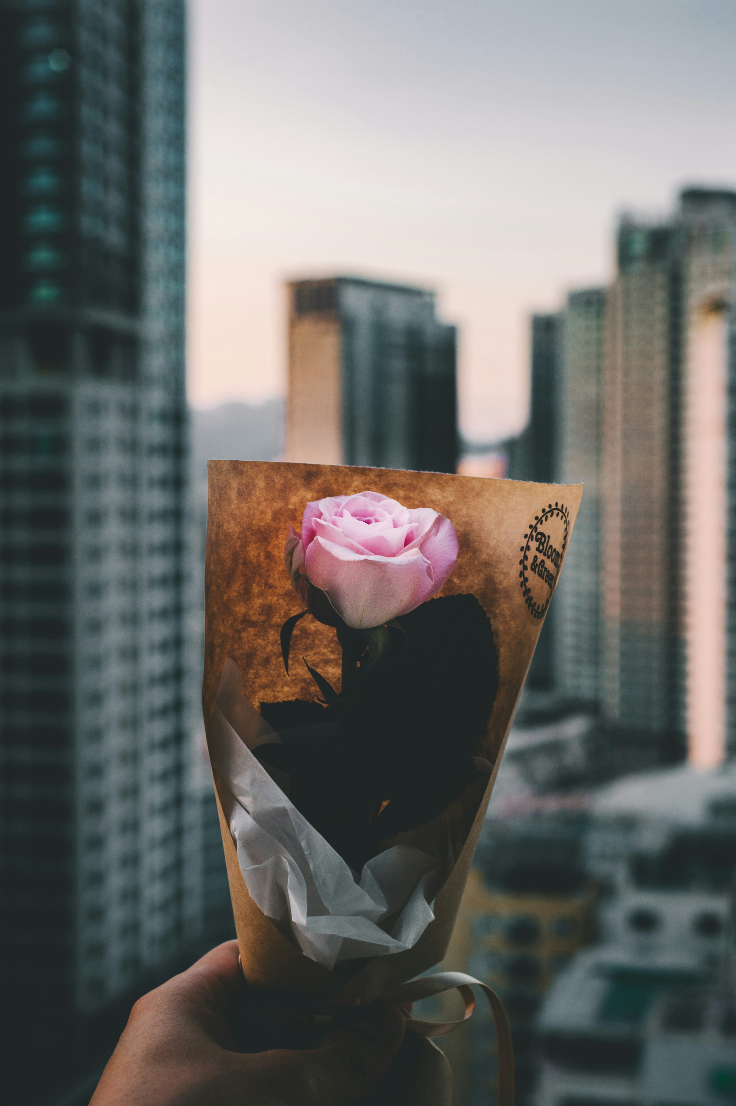 A person holding a pink rose bouquet | Source: Unsplash