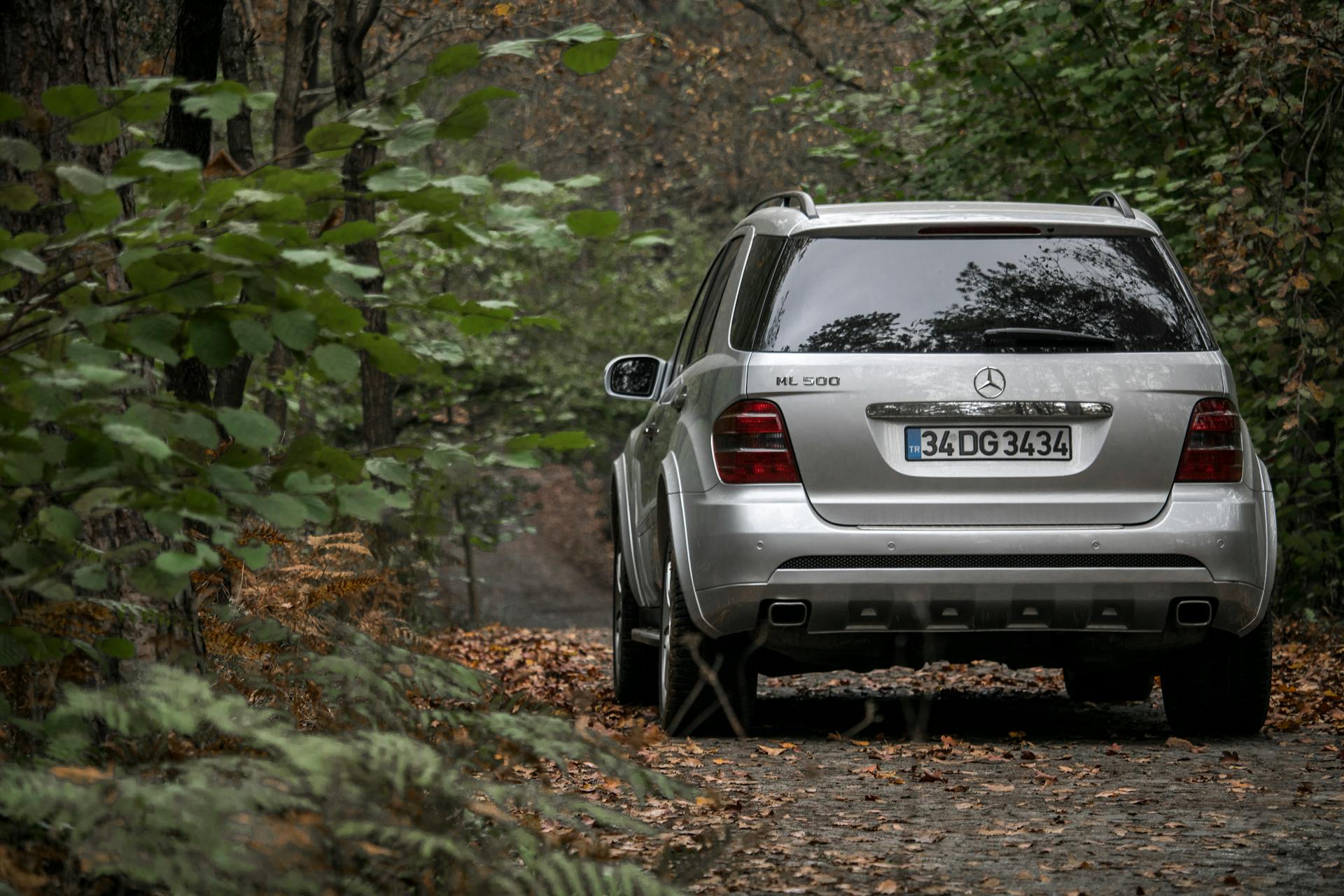 A car parked in a forest | Source: Pexels