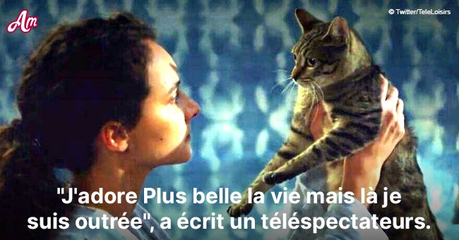Plus Belle La Vie Accusee De Maltraitance Animale La Vraie Histoire Du Chat De Mathis