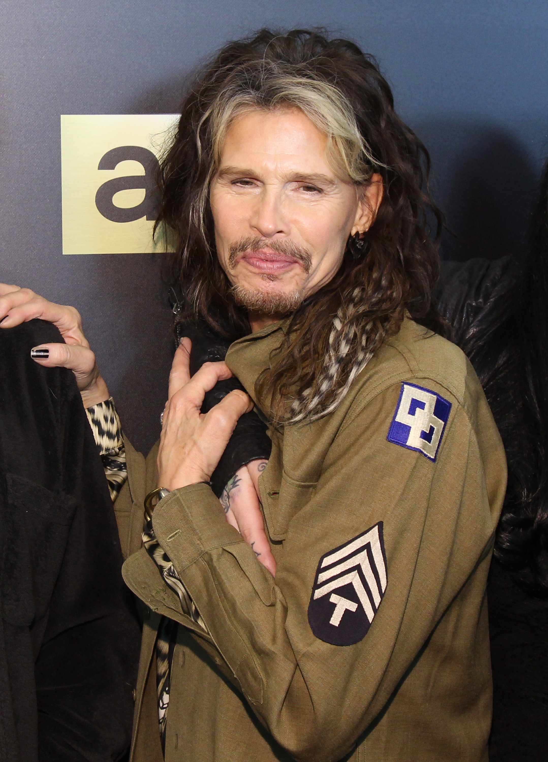 Steven Tyler in 2015 | Source: Getty Images