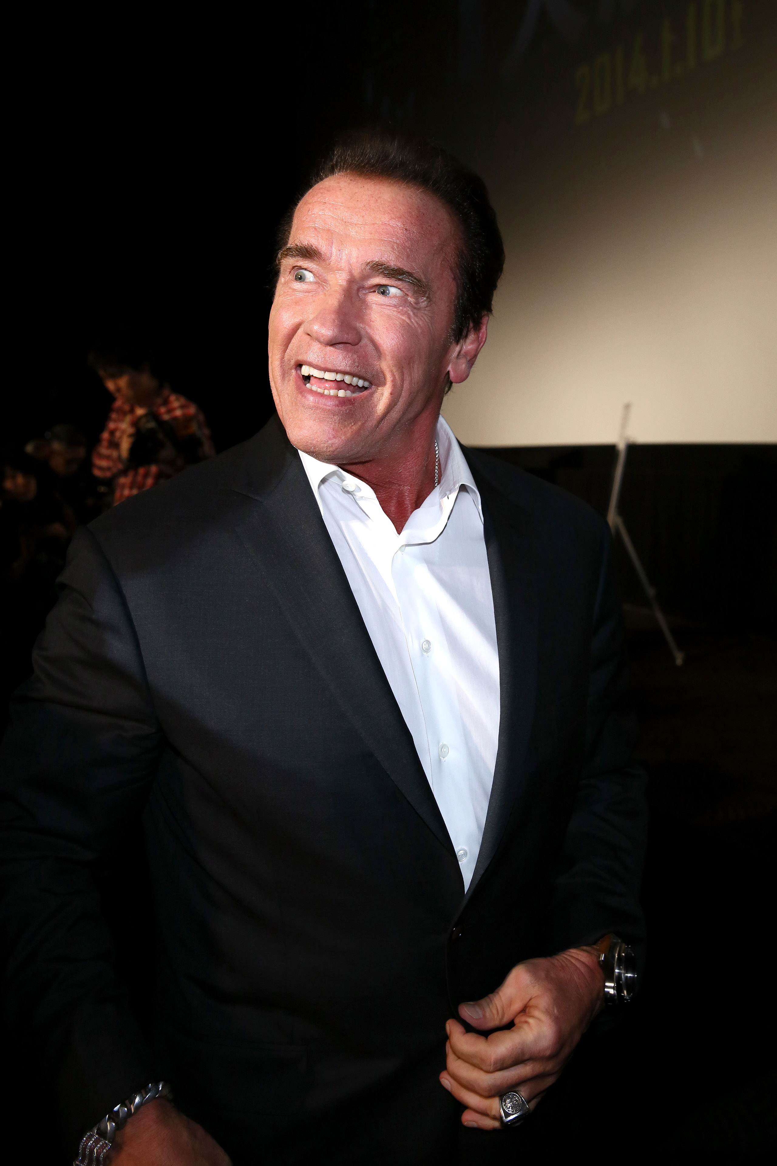 He asked her to lunch, and that's how it started. In this photo, the actor attended the "Escape Plan" stage greeting at Roppongi Hills on December 3, 2013, in Tokyo, Japan. | Source: Getty Images