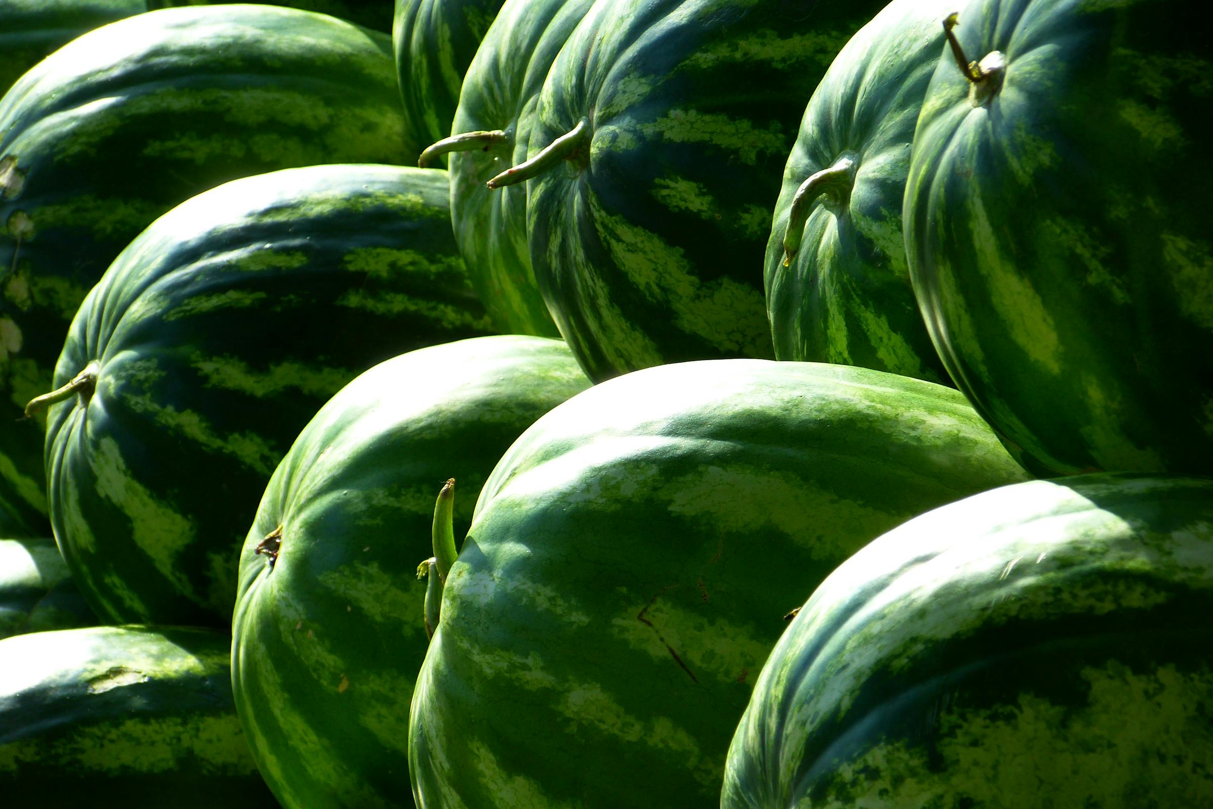 Selection of watermelons | Source: Pexels