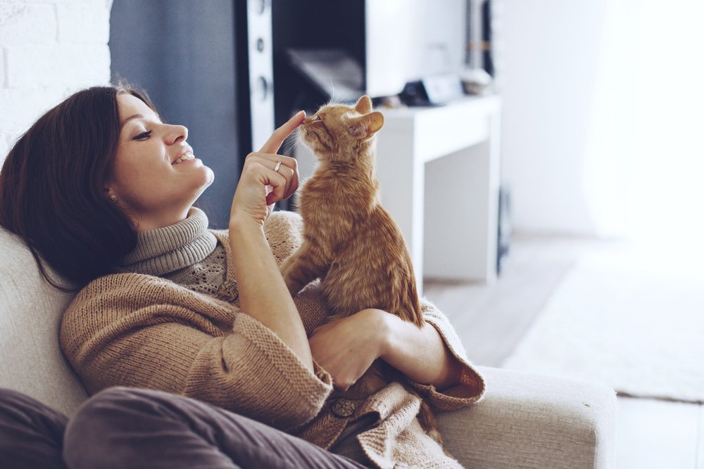 Junge Frau mit warmem Pullover ruht sich an einem Herbsttag mit einer Katze aus. | Quelle: Shutterstock 