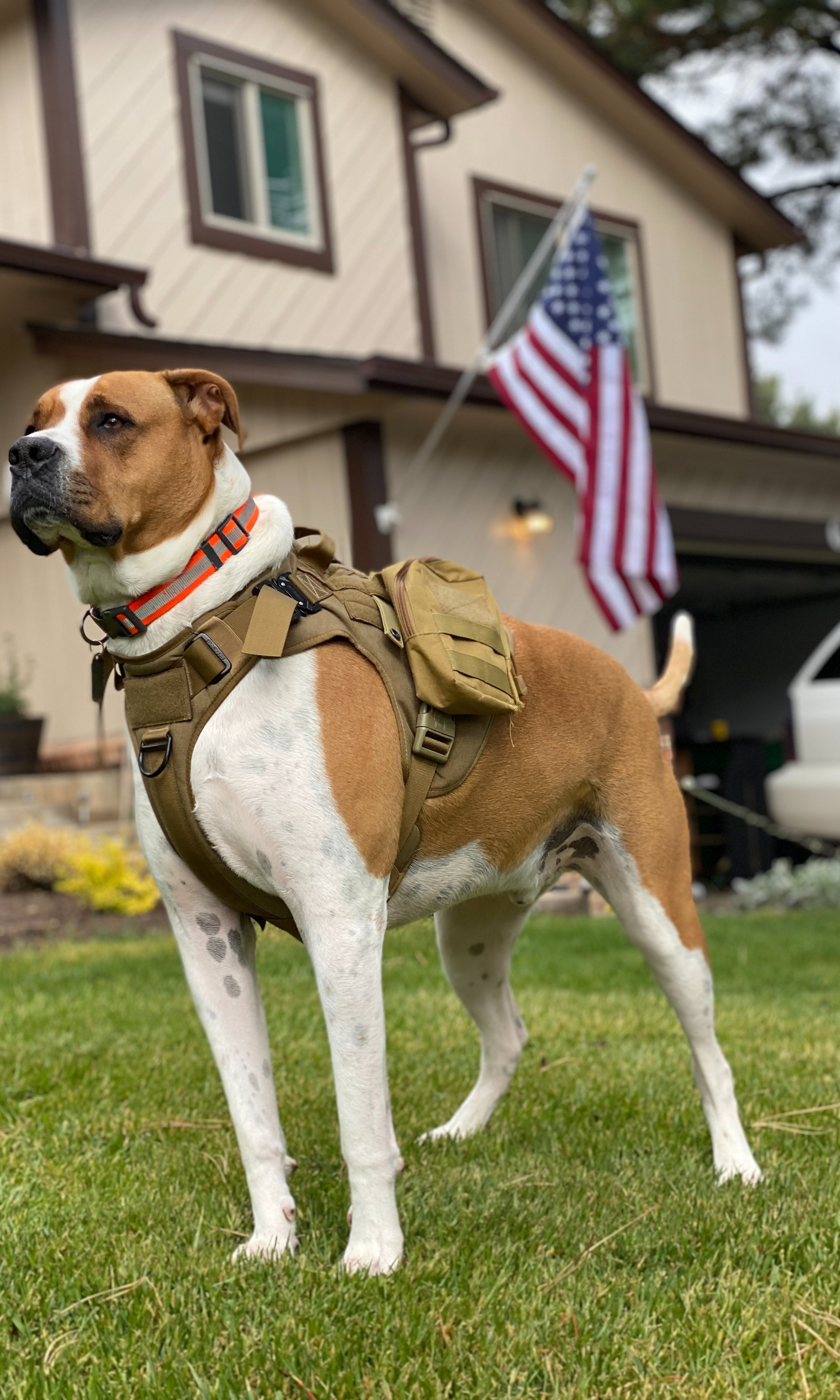 For illustration purposes only | Source: Pexels