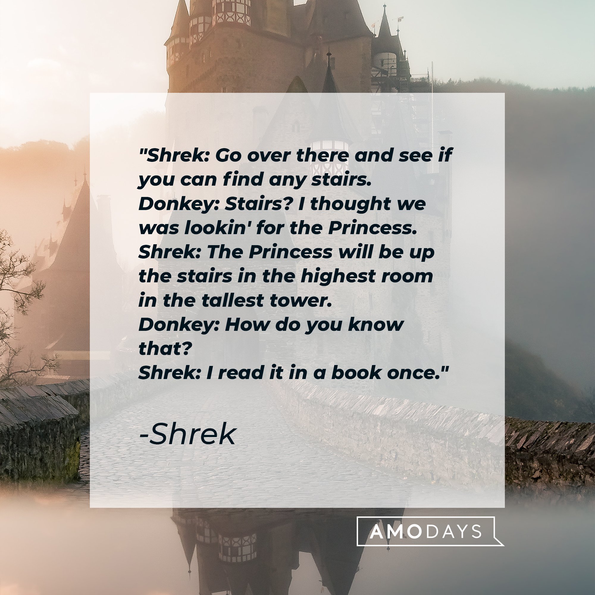 "Shrek" dialogue: "Shrek: Go over there and see if you can find any stairs.  Donkey: Stairs? I thought we was lookin' for the Princess.  Shrek: The Princess will be up the stairs in the highest room in the tallest tower.  Donkey: How do you know that?  Shrek: I read it in a book once." | Image: AmoDays