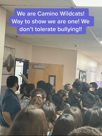 Students at Camino Real Middle School gather to escort a seventh-grade student to class. | Source: tiktok.com/575_msjanice