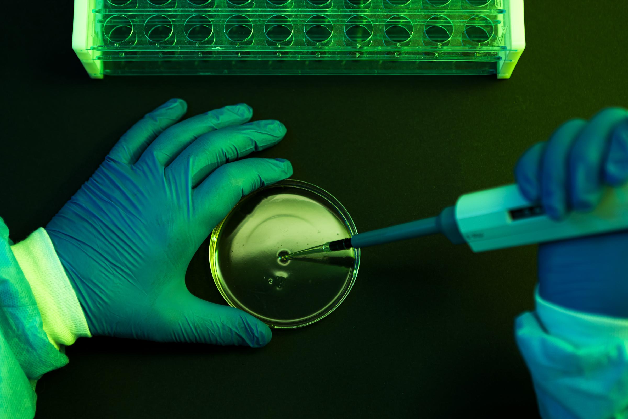 A scientist pouring liquid into a Petri dish in a labaratory. | Source: Getty Images