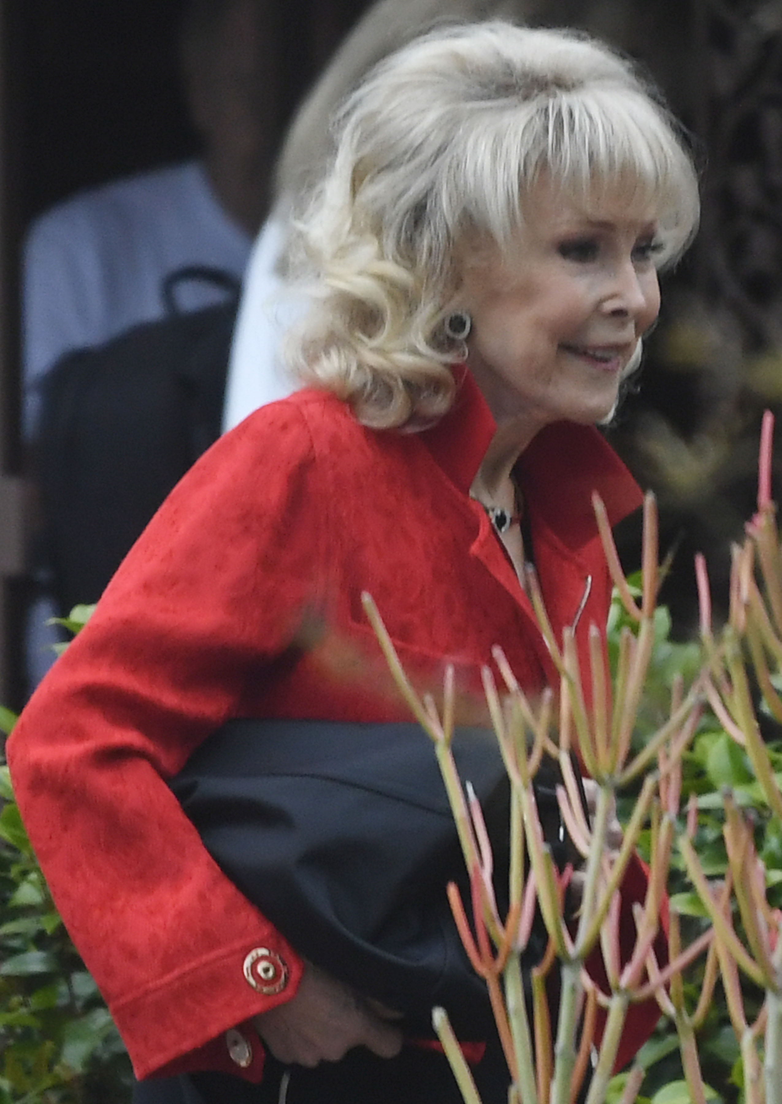 Barbara Eden carries her bag on May 23, 2024, in Los Angeles, California. | Source: Getty Images
