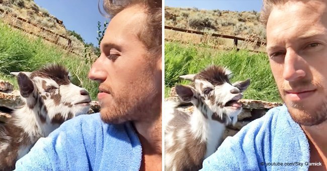 Man gets into a heated argument with a baby goat (video)