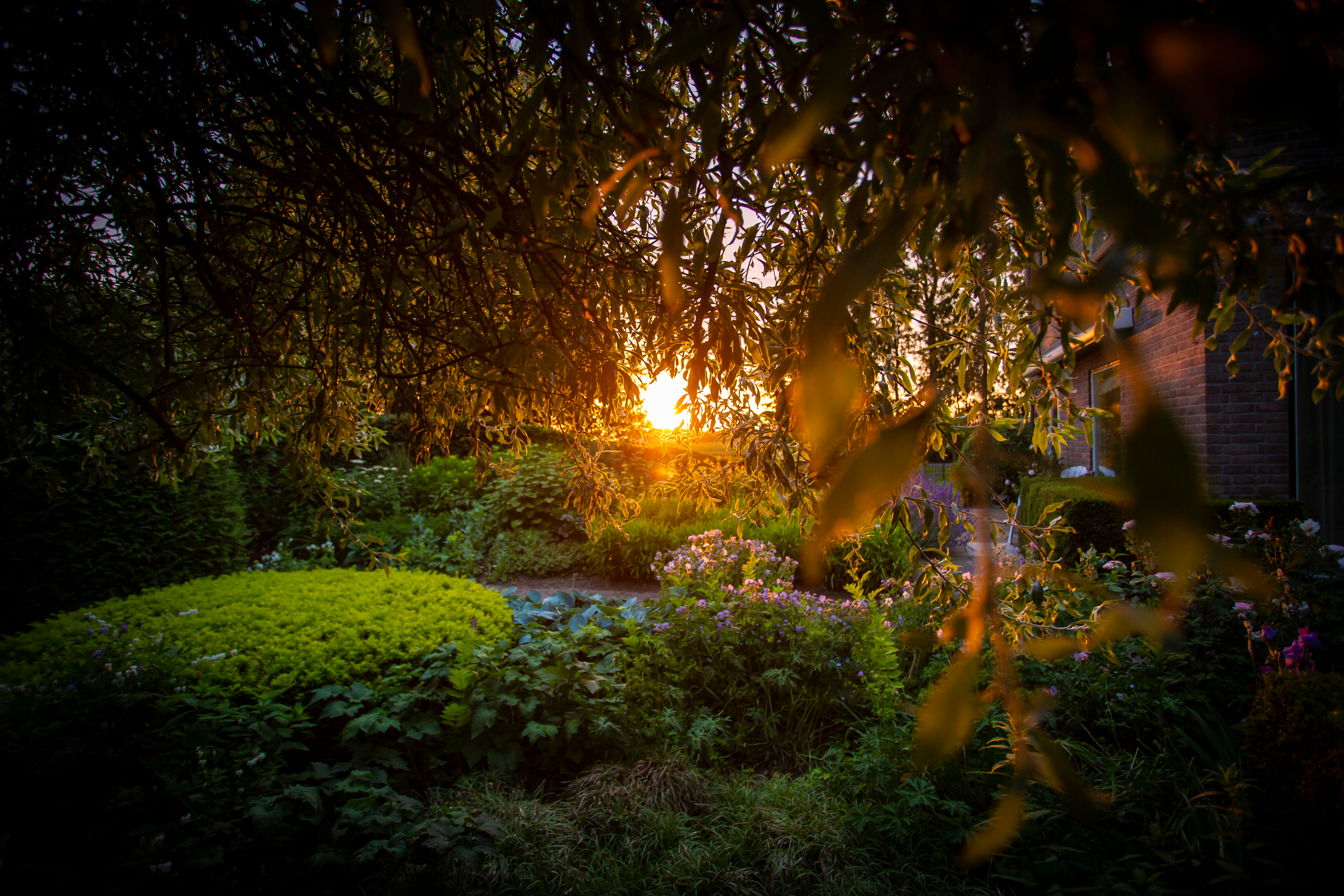 Garden - Horizontal view | Source: Shutterstock