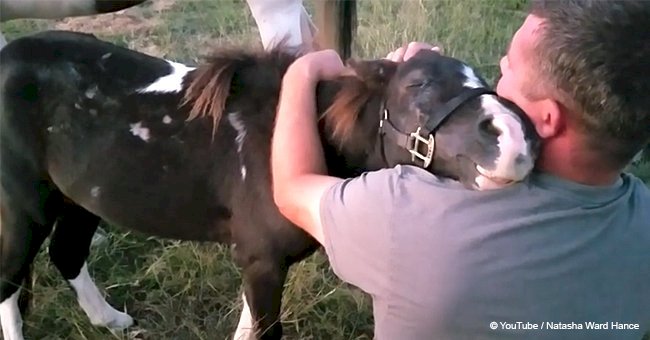 Man saved horse from death, so little animal gives incredible 'thank you' to his savior