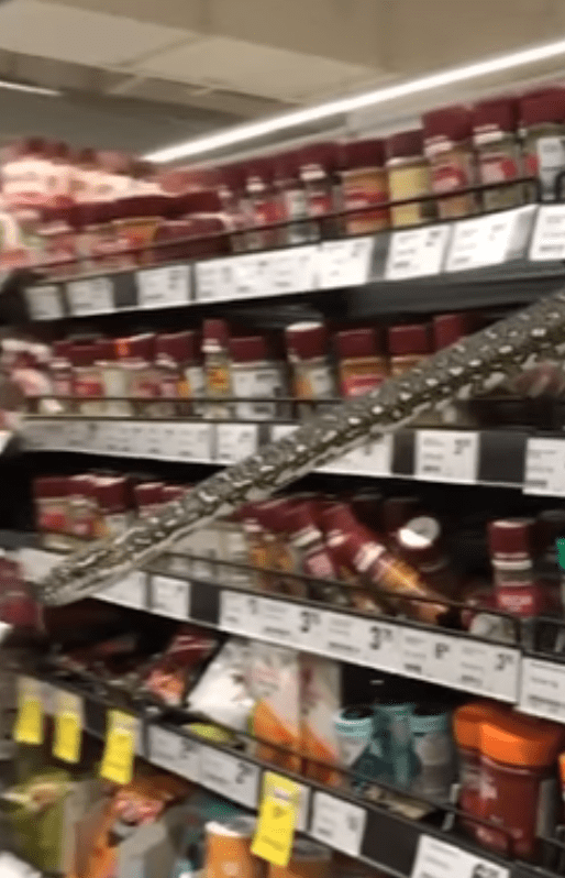 A snake tried to escape a spice shelf in a supermarket and came face to face with a shopper | Photo: Youtube/Guardian Australia