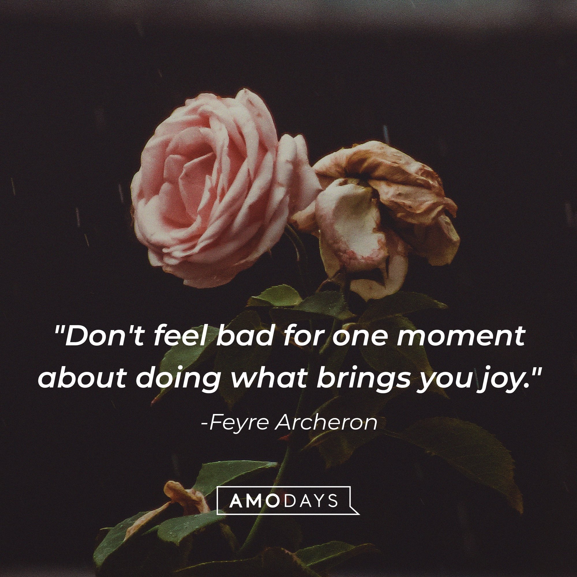  Feyre Archeron’s quote: "Don't feel bad for one moment about doing what brings you joy." | Image: AmoDays