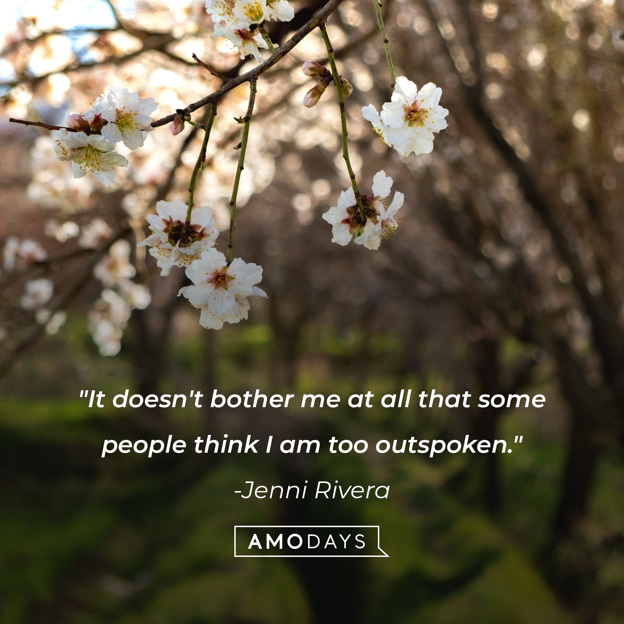 Jenni Rivera’s quote: "It doesn't bother me at all that some people think I am too outspoken." | Image: AmoDays