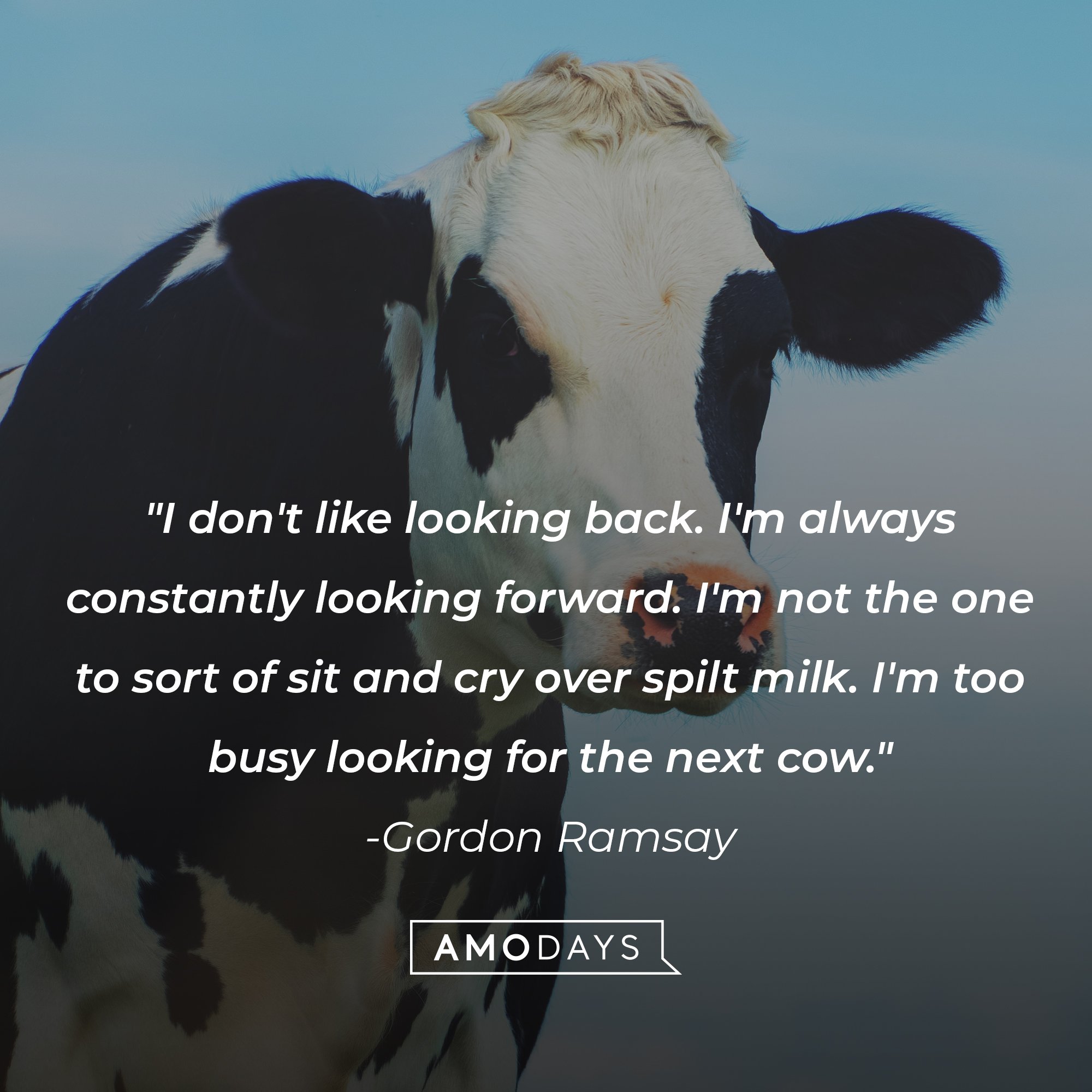 Gordon Ramsay’s quote: "I don't like looking back. I'm always constantly looking forward. I'm not the one to sort of sit and cry over spilt milk. I'm too busy looking for the next cow."  | Image: AmoDays