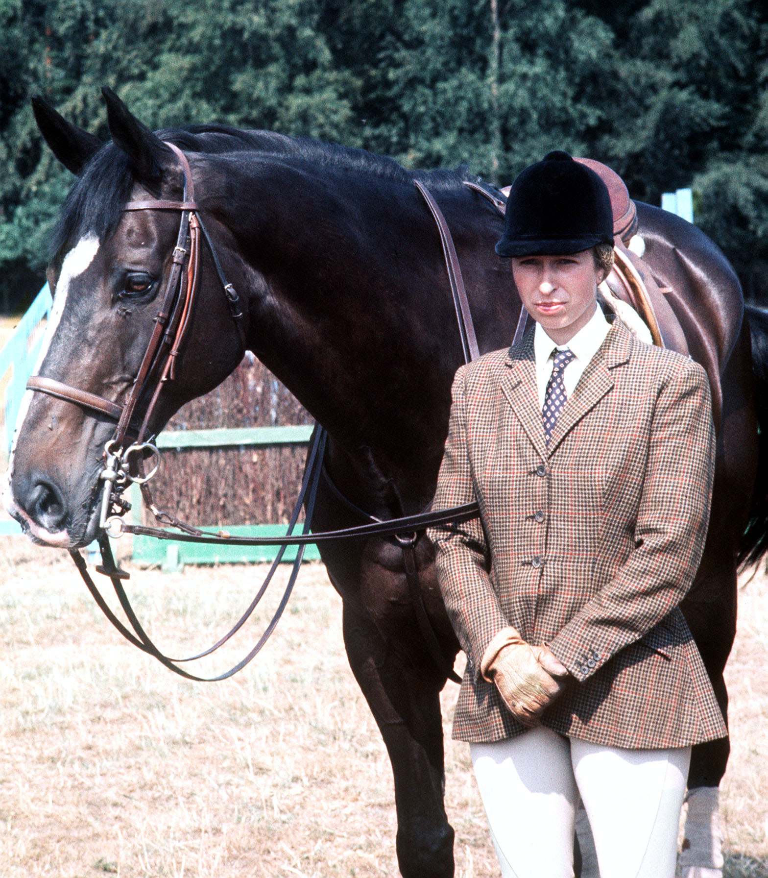 Princess Anne with the Queen's horse, Goodwill, during a break in training with the British Olympic team for the three-day event at the Montreal Olympic Games in Canada in 1976 | Source: Getty Images