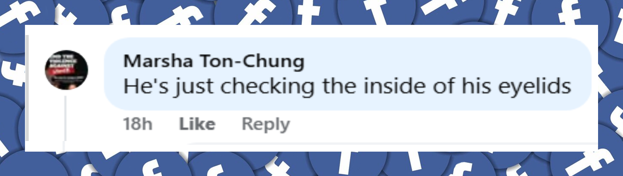 A netizen's comment about Hugh Grant dozing off during the Wimbledon match on July 9, 2025 | Source: Facebook/TMZ