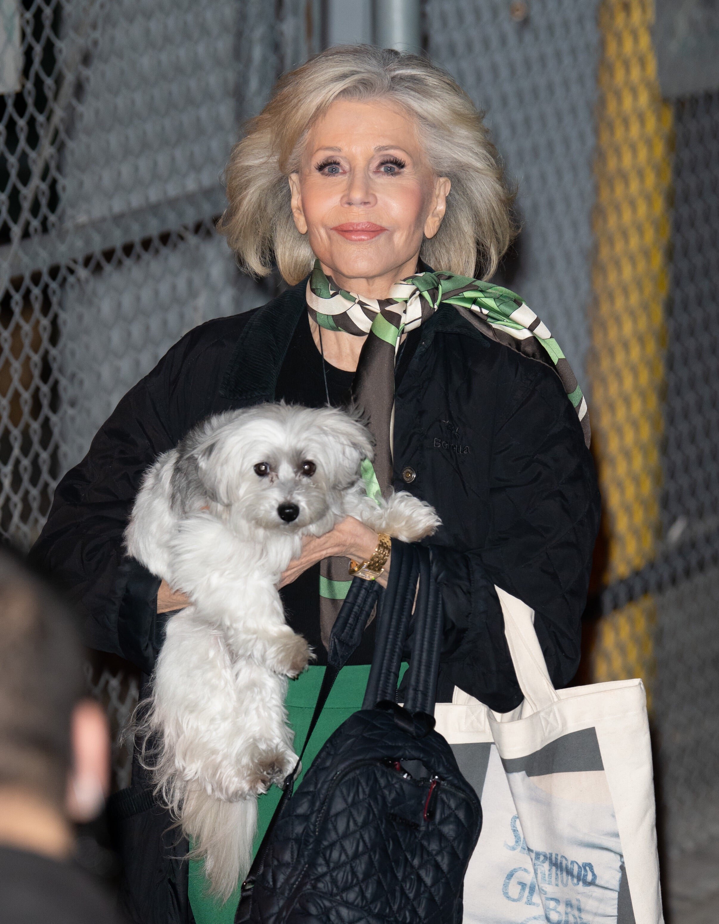 Jane Fonda seen at “Jimmy Kimmel Live” in California on January 20, 2020 | Source: Getty Images 