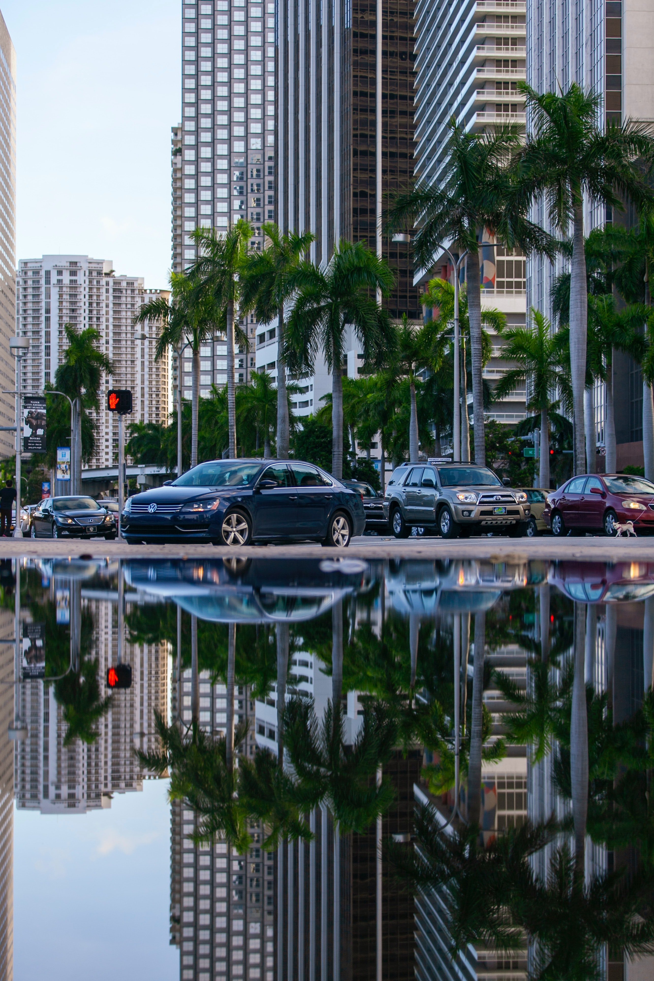Automóviles y edifcios en una ciudad reflejados en la superficie del agua. | Foto: Pexels