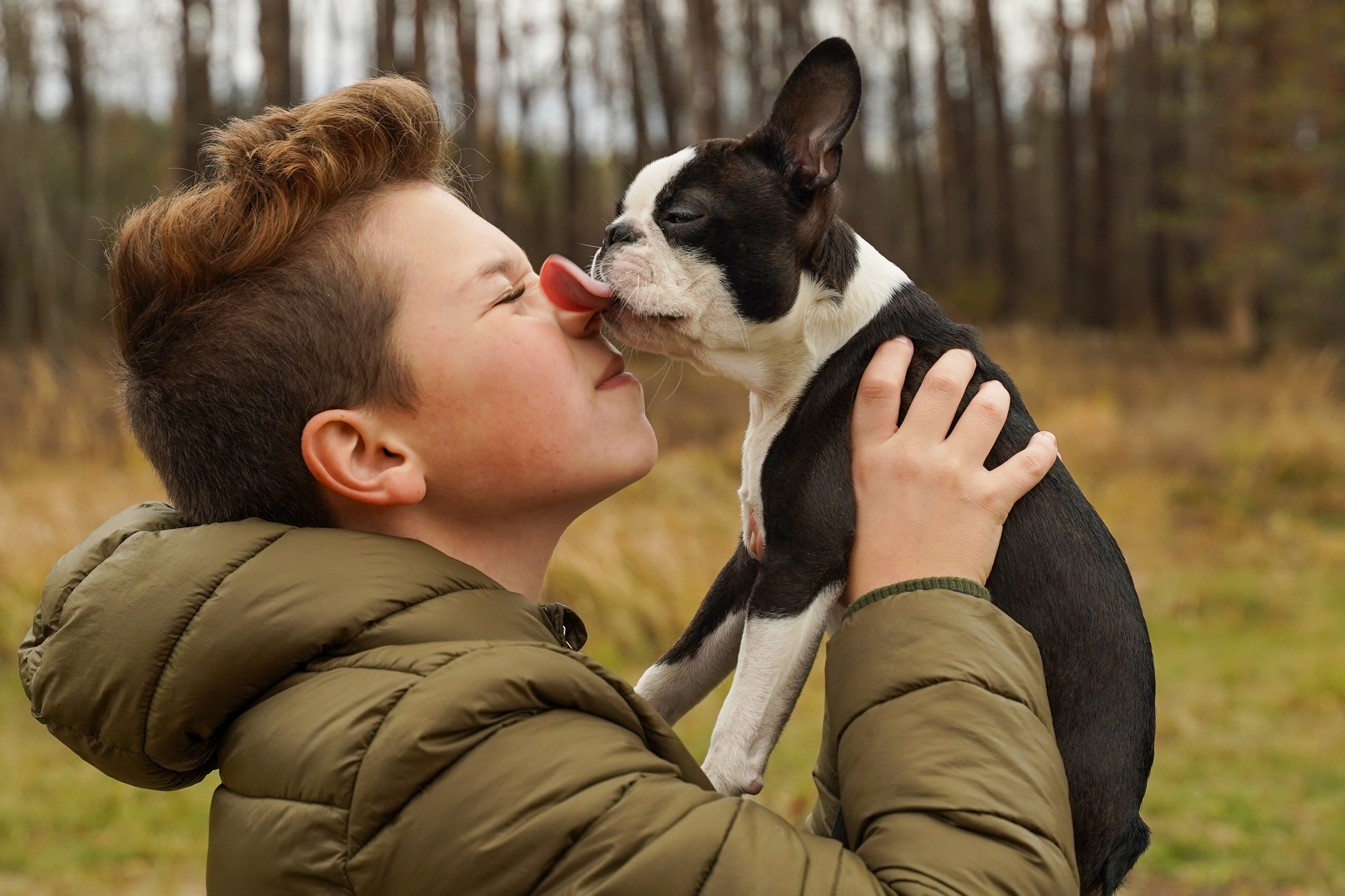 A boy kisses his beloved dog in nose | Source: Shutterstock.com