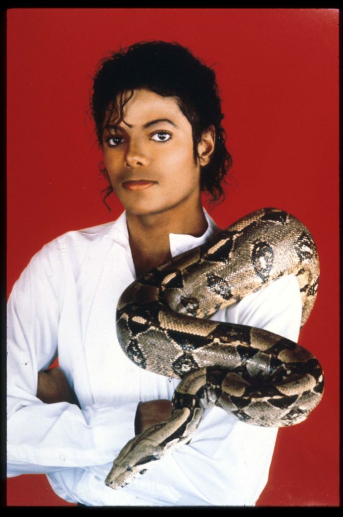 Michael Jackson poses with a boa constrictor on September 15, 1987 in Jackson. | Photo: Getty Images