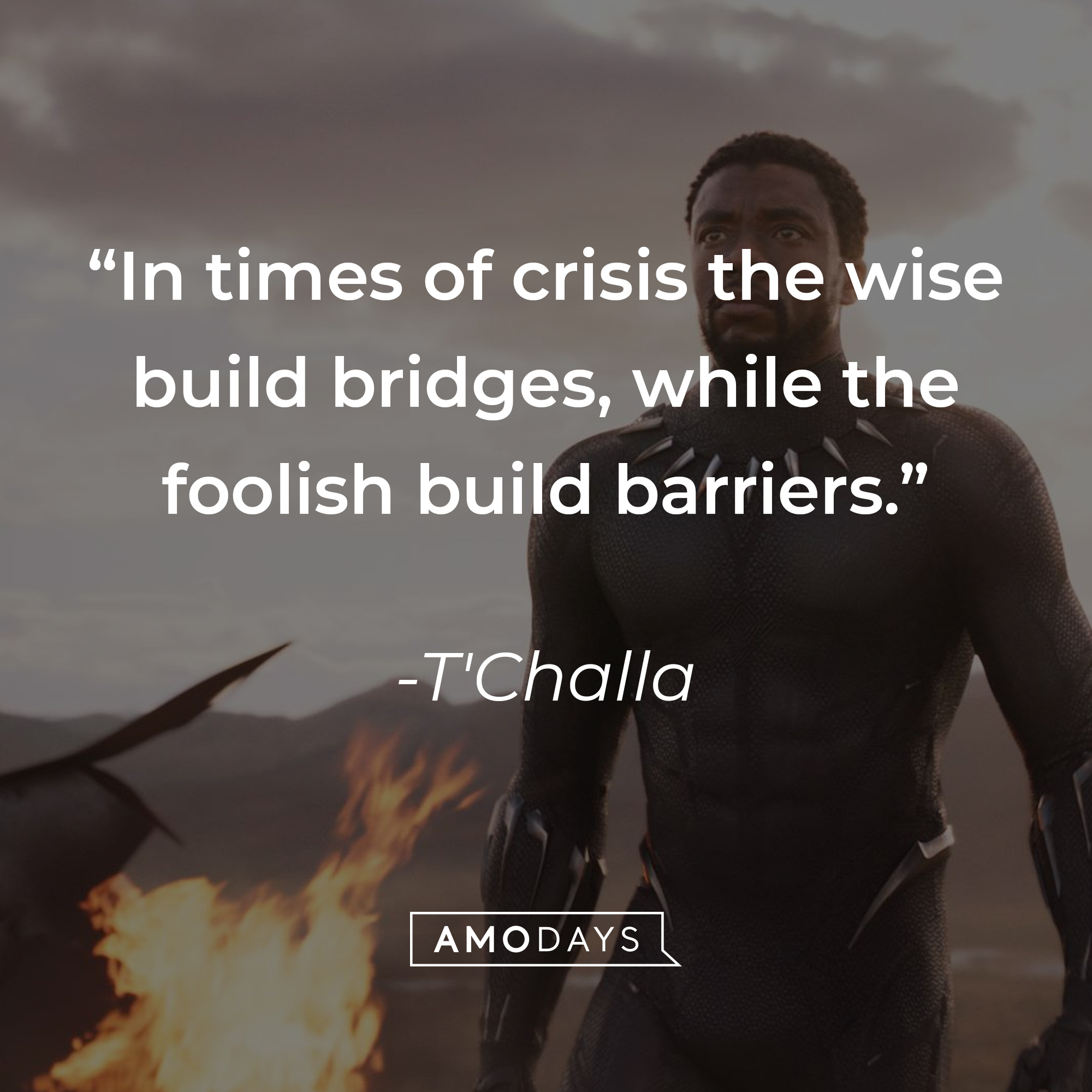 T'Challa's quote: “In times of crisis the wise build bridges, while the foolish build barriers.” | Source: facebook.com/BlackPantherMovie