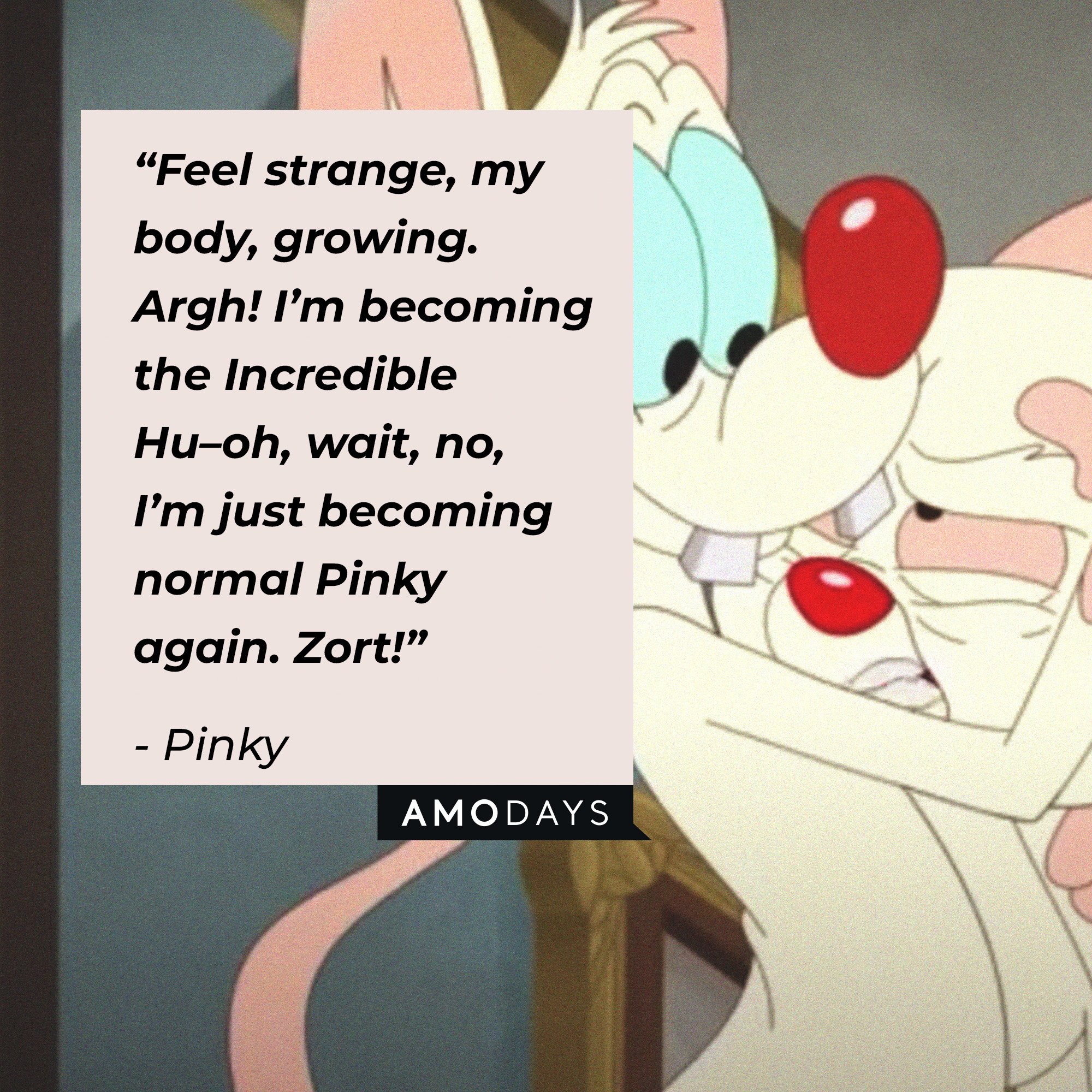 165-pinky-and-the-brain-quotes-loved-by-fans-worldwide