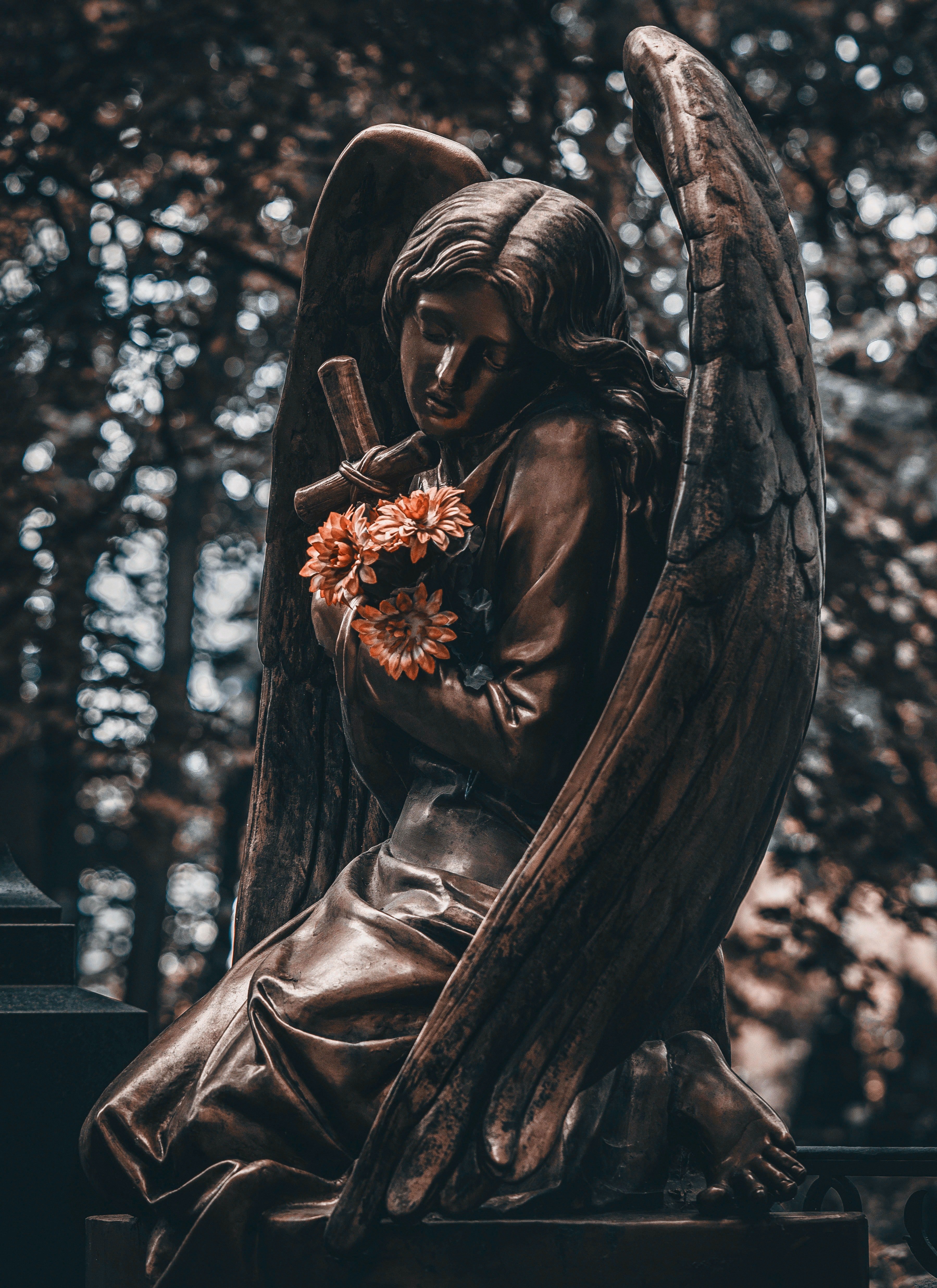 Molly died in peace knowing her daughter wasn't alone. | Source: Unsplash