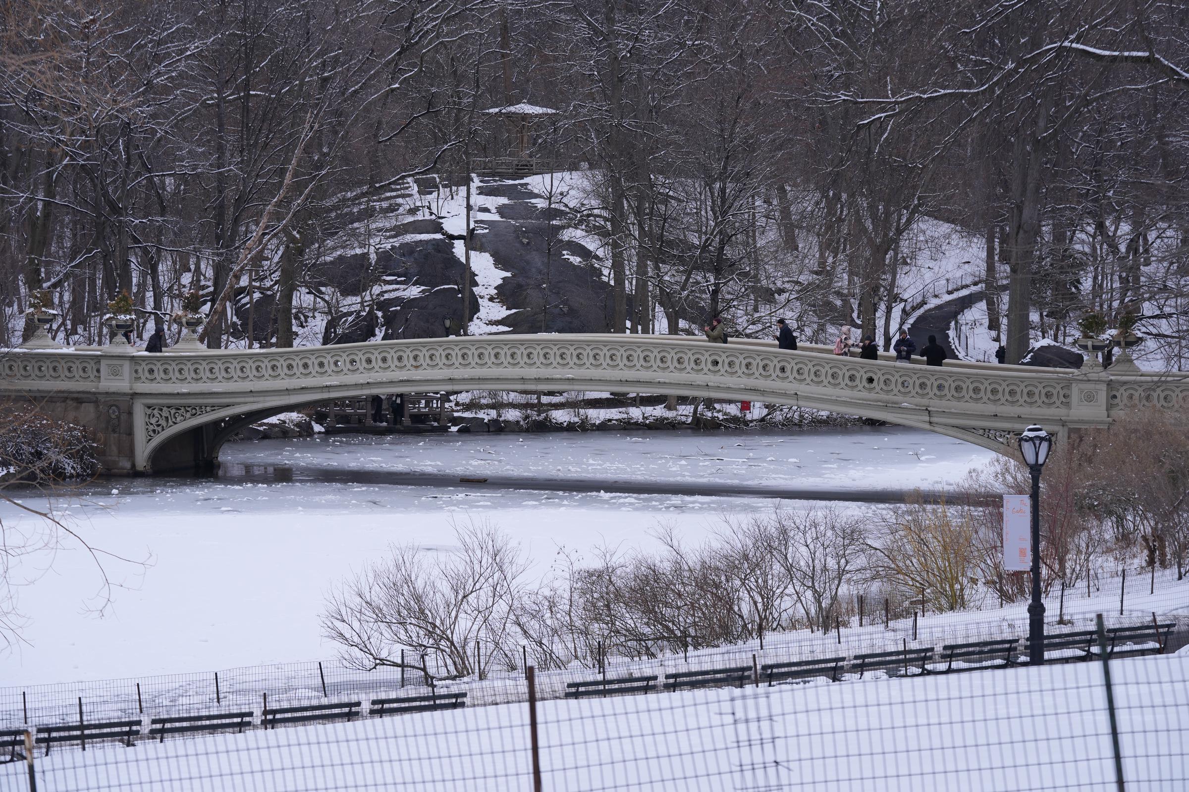 Central Park in New York photographed covered in snow on February 13, 2025. | Source: Getty Images