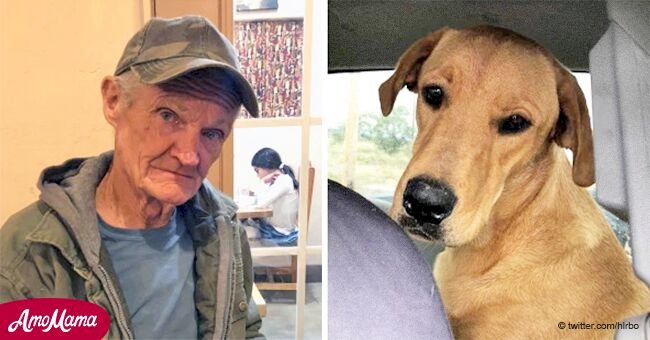 Hunter shot in the back by his own dog during a hunting trip