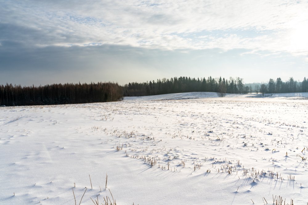 Paysage de campagne avec de la neige recouvrant le sol. | Photo : Shutterstock Paysage de campagne avec de la neige recouvrant le sol. | Photo : Shutterstock