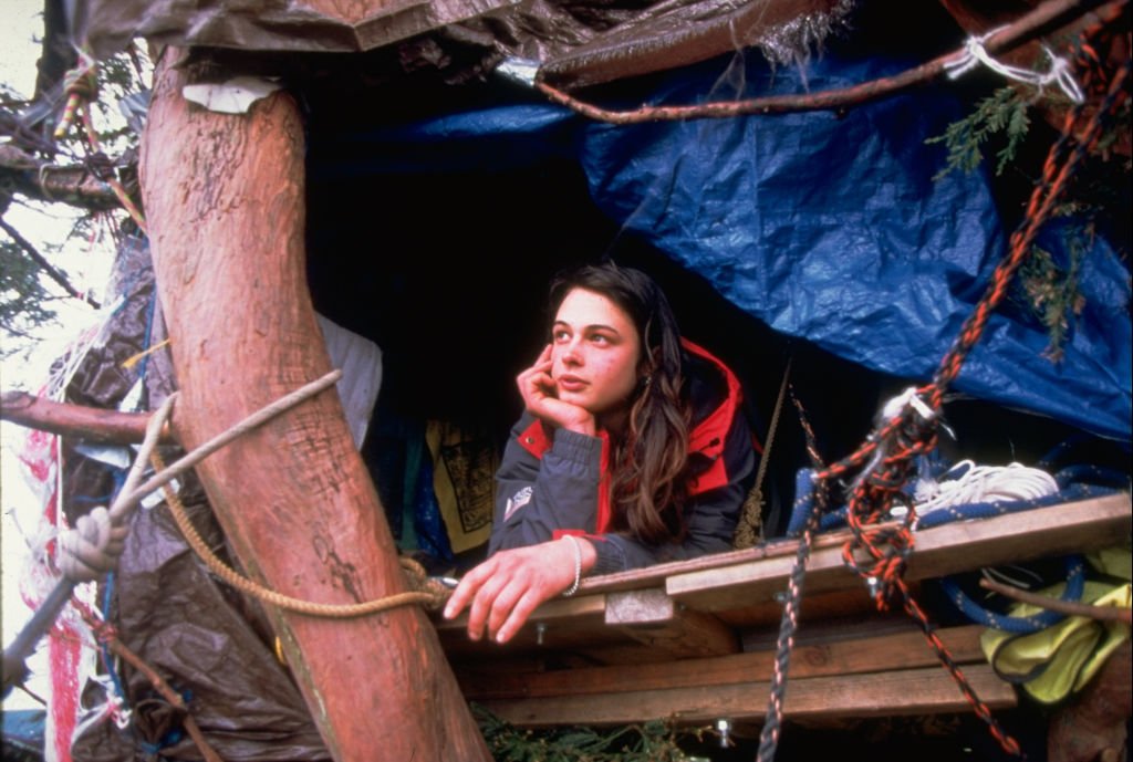Julia luchó contra enfermedades, temperaturas heladas, lluvias torrenciales mientras vivió en el árbol Secuoya desde 1997 hasta 1999. | Foto: Getty Images.