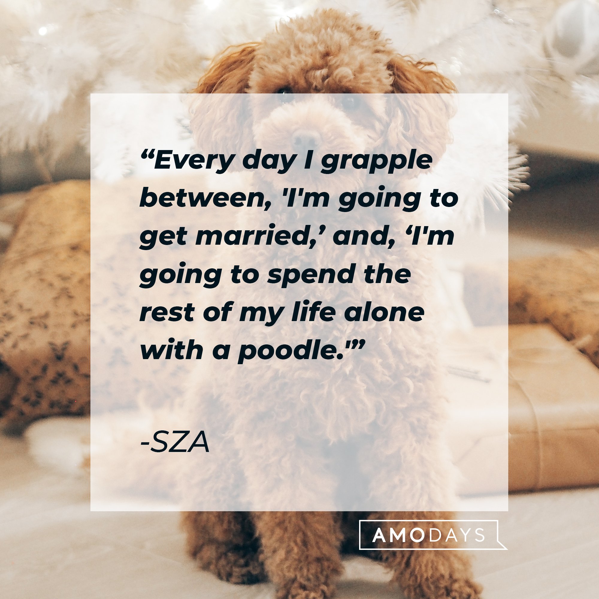 SZA’s quote: "Every day I grapple between, 'I'm going to get married,' and, 'I'm going to spend the rest of my life alone with a poodle.'" | Image: AmoDays