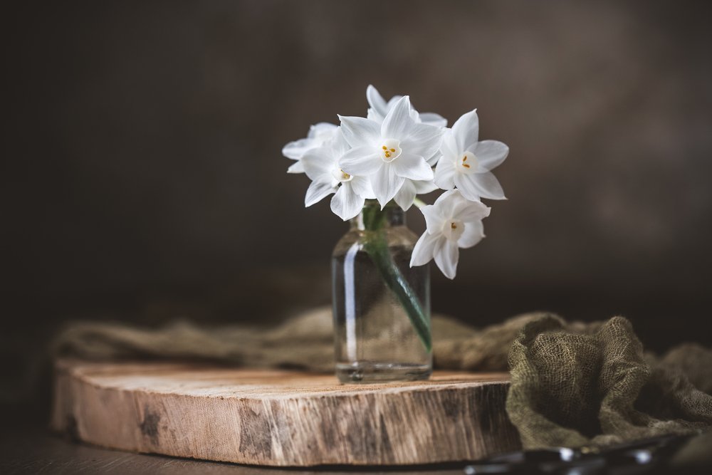 A bouquet of Paperwhite narcissus in a clear bottle vase. | Photo: Shutterstock