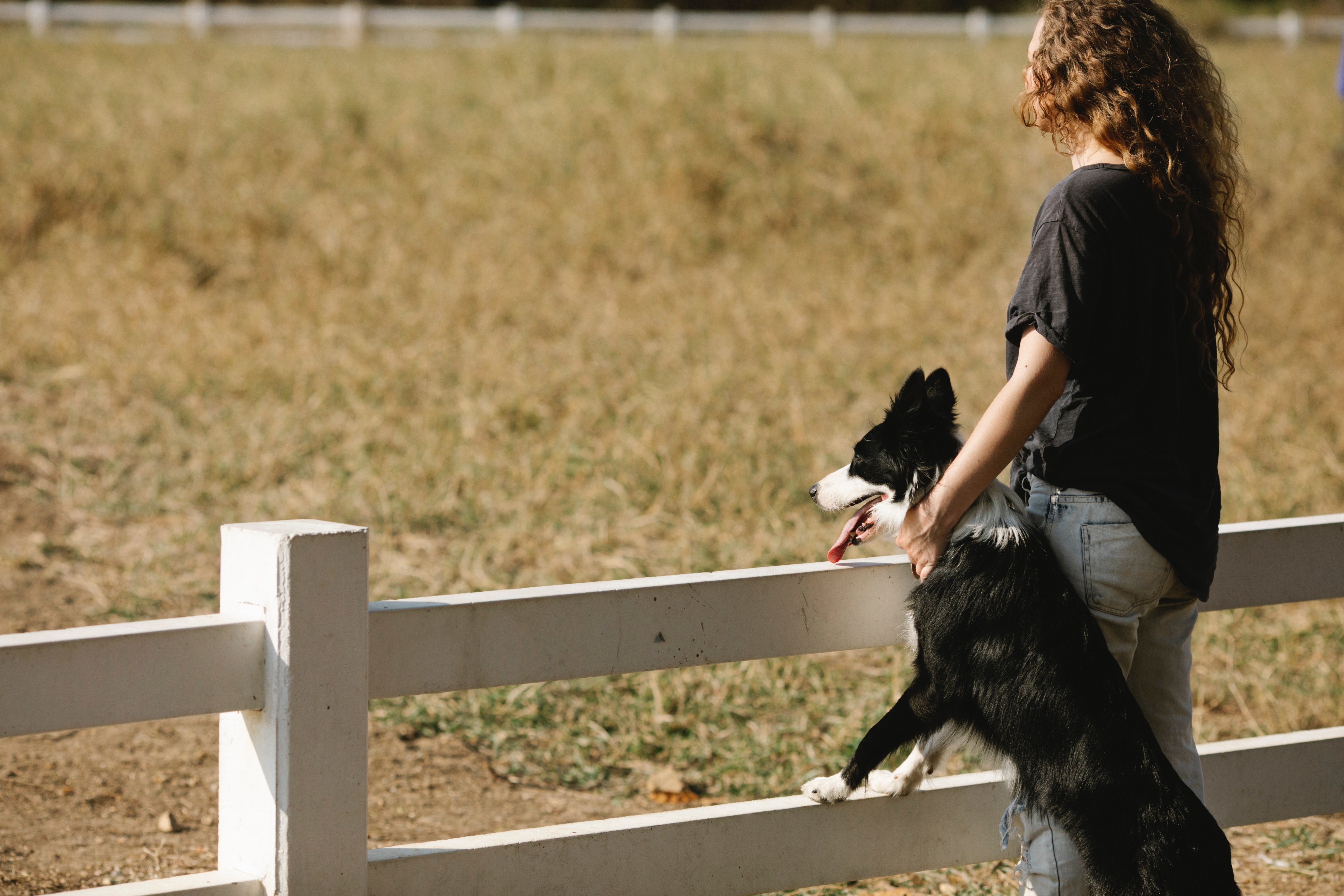 Phoebe followed Lincoln to a cemetery. | Source: Pexels