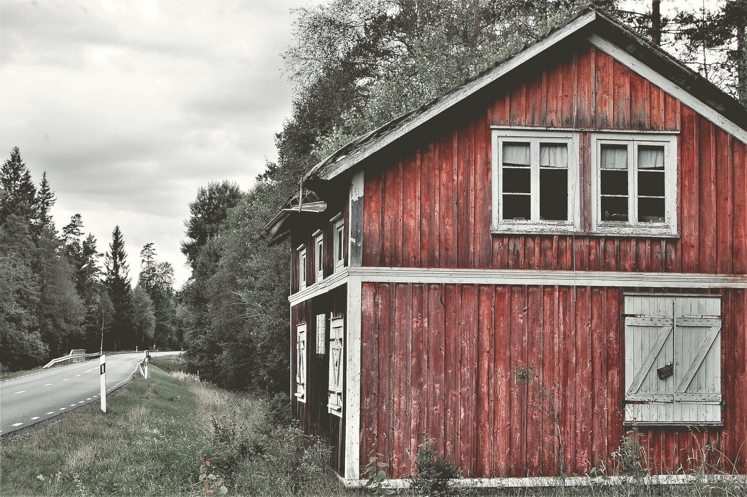 Maisy followed the triplets to their house. | Source: Pexels