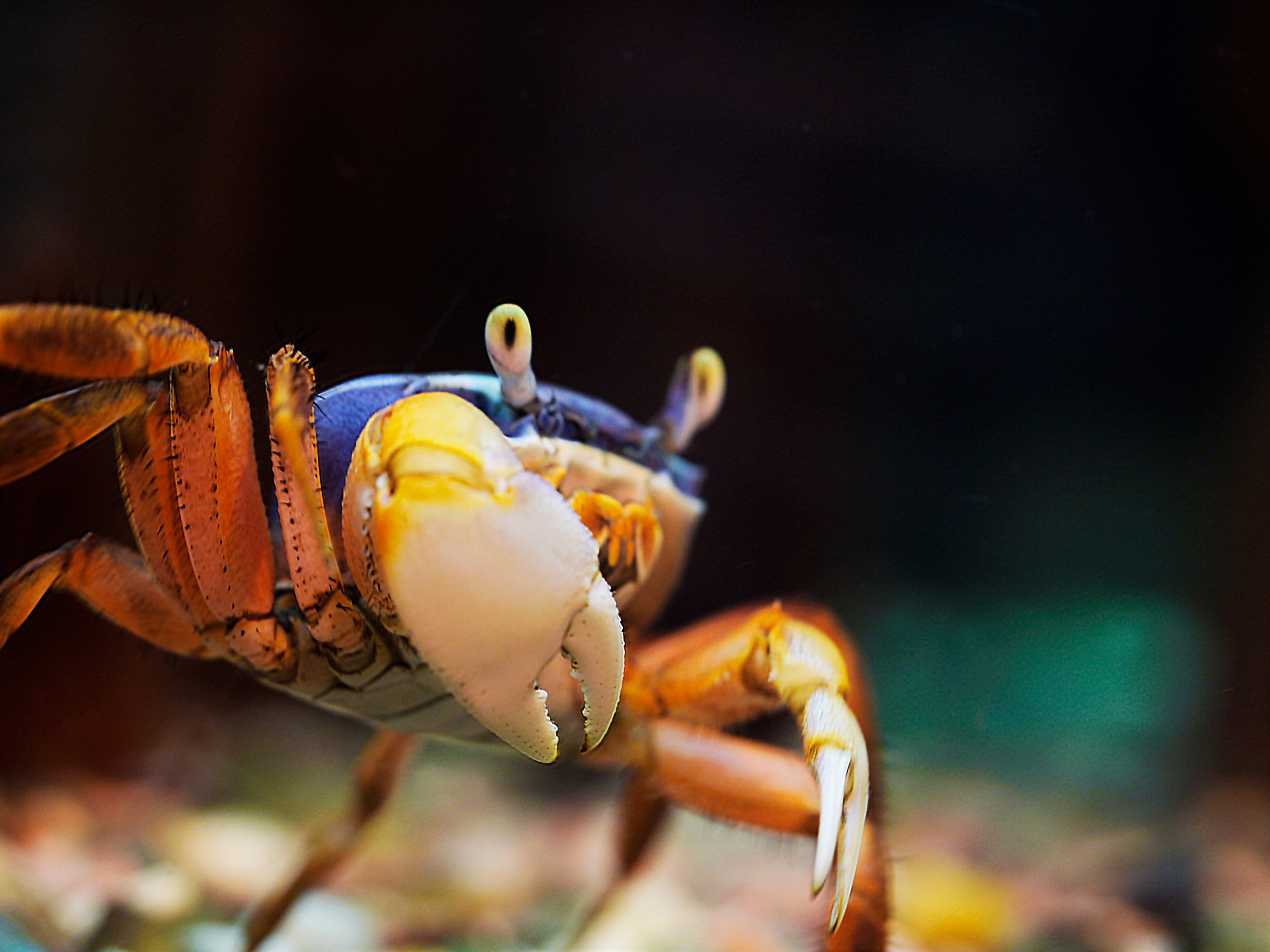 Image source: shutterstock