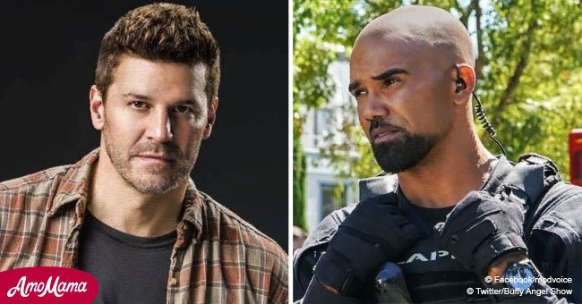 Beloved shows 'SEAL Team' and 'S.W.A.T.' renewed at CBS