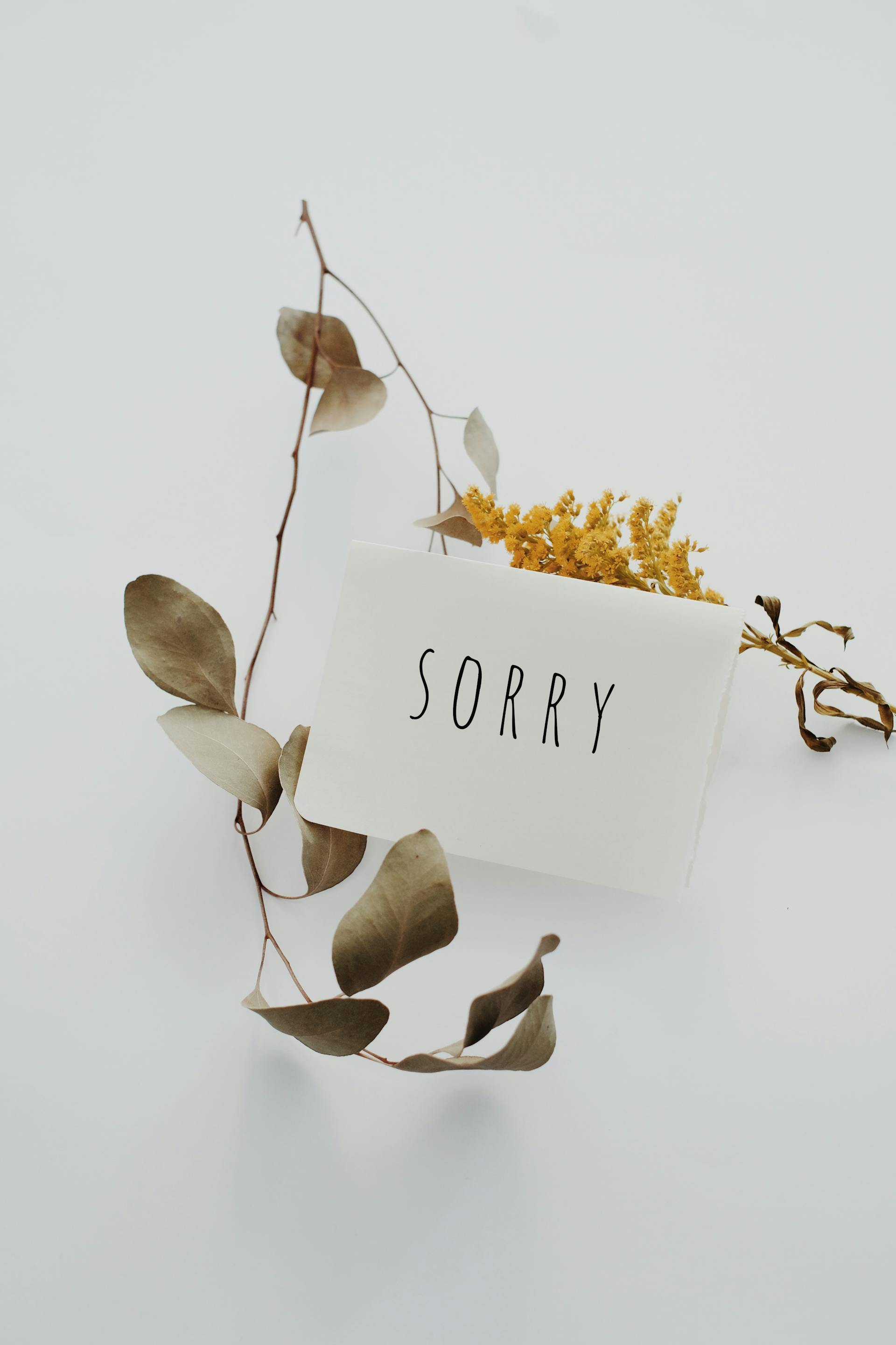 The word "Sorry" written on a postcard | Source: Pexels