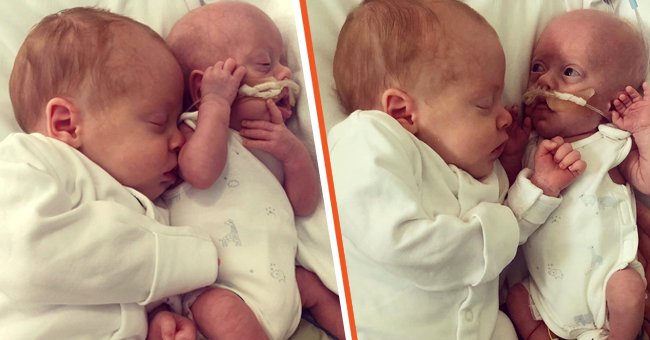 Die neugeborenen Zwillinge Chester und Otis Graves kuscheln miteinander. | Quelle: Instagram.com/miracletwins_plus3