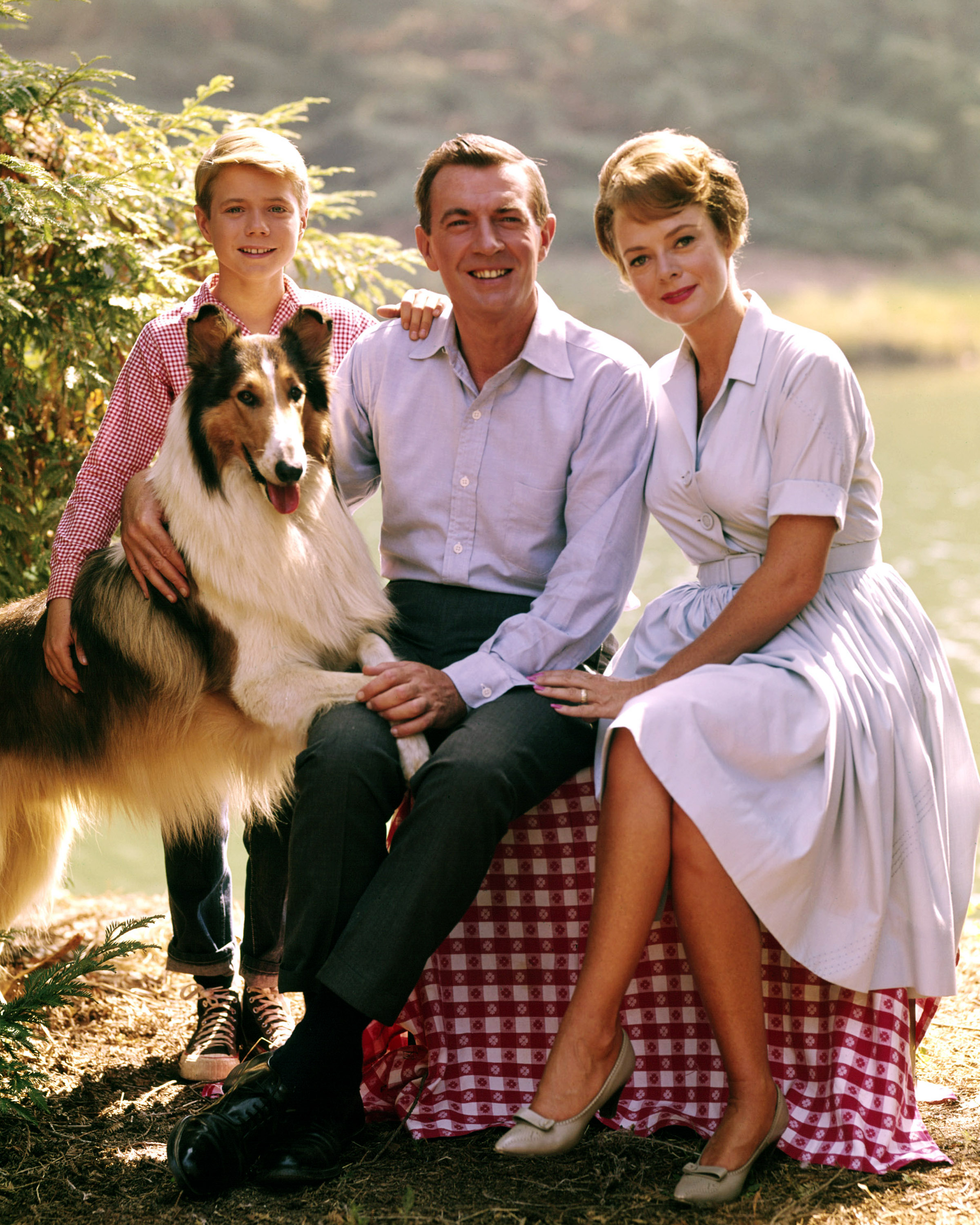 Lassie poses with Jon Provost, June Lockhart, and Hugh Reilly (1915-1998) for a group portrait issued as publicity for the US television series, "Lassie," circa 1955. | Source: Getty Images