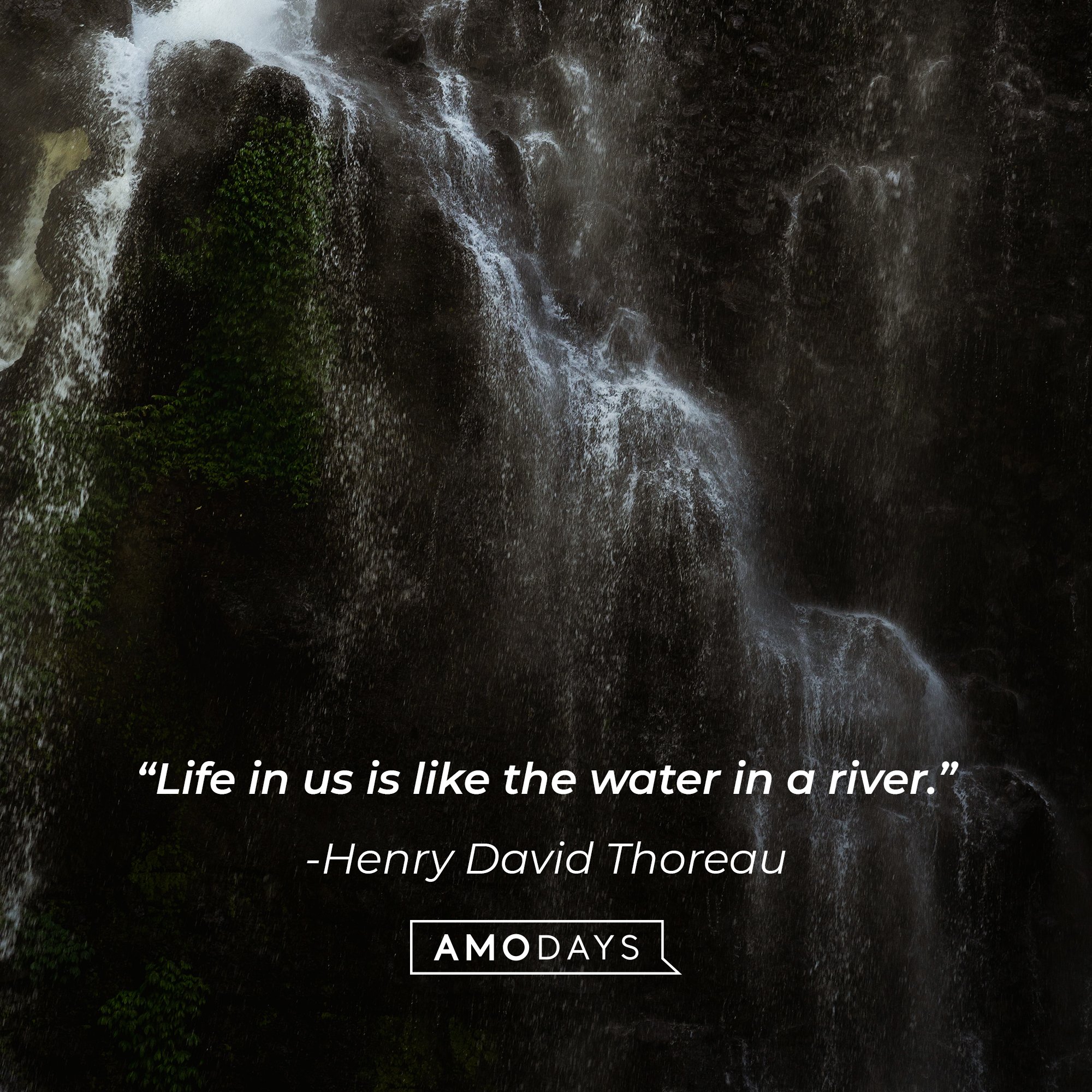 Henry David Thoreau’s quote: “Life in us is like the water in a river.” | Source: AmoDays