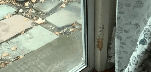 Puerta corrediza de vidrio del hogar. |Imagen: YouTube.com /Eyewitness News ABC7NY Puerta corrediza de vidrio del hogar. |Imagen: YouTube.com /Eyewitness News ABC7NY