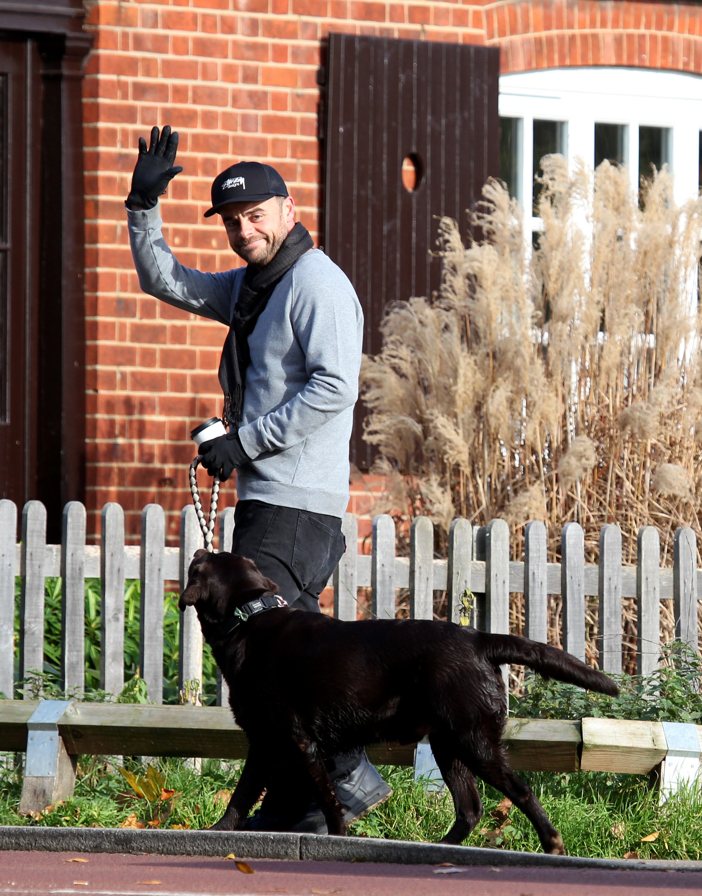 Ant McPartlin seen walking his dog, Hurley, on November 10, 2017, in London, England. | Source: Getty Images