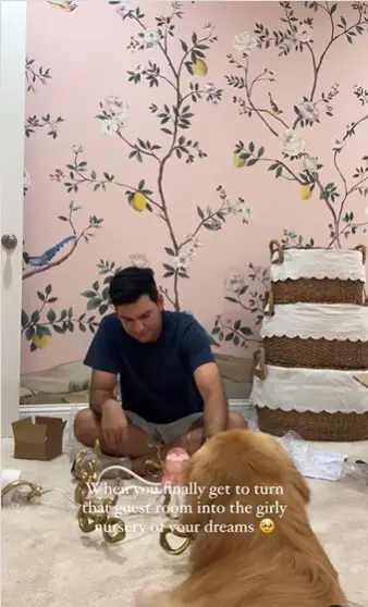 Mauricio Scott worked on transforming the guest room into a dream nursery, surrounded by whimsical floral wallpaper and his loyal dog. The loving setup showcases the couple’s teamwork in preparing for their baby girl. | Source: Instagram/alexmariedrum