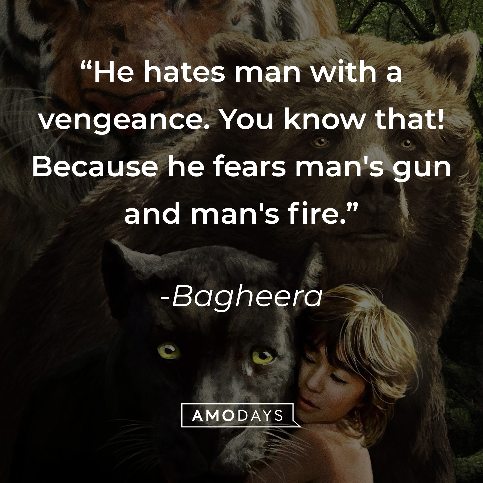 Bagheera's quote: "He hates man with a vengeance. You know that! Because he fears man's gun and man's fire." | Source: facebook.com/DisneyJungleBook